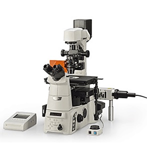 倒置显微镜图片